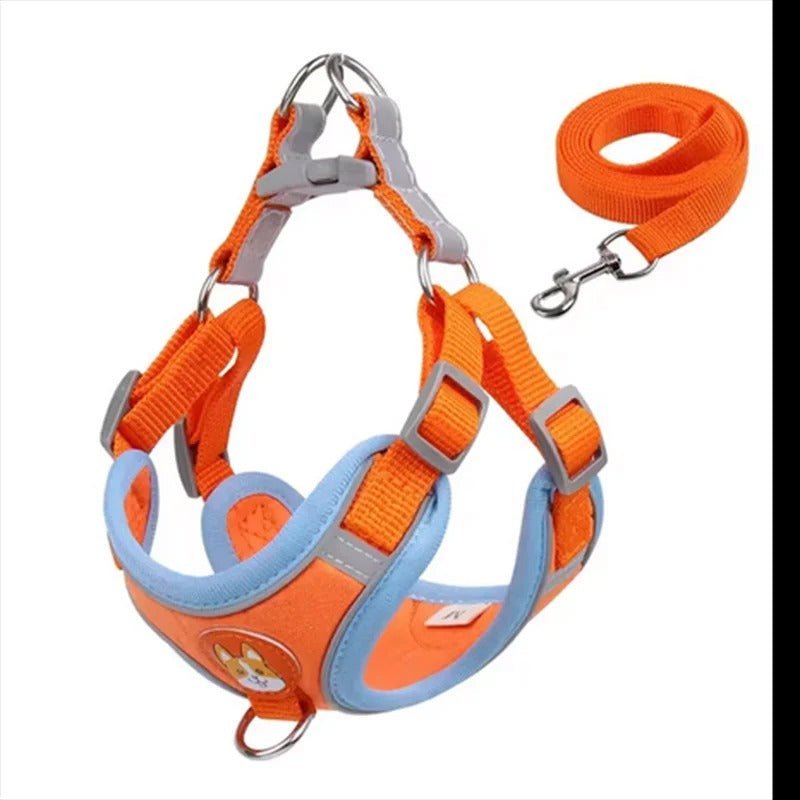 meilleur - harnais - anti - traction - Mon chien confortable