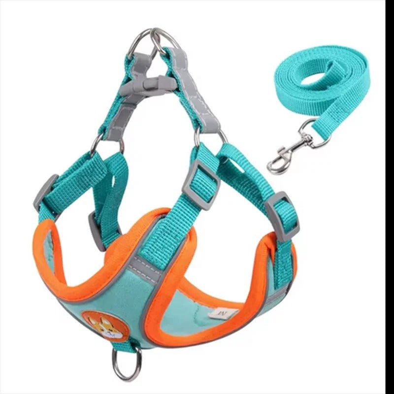 meilleur - harnais - anti - traction - Mon chien confortable