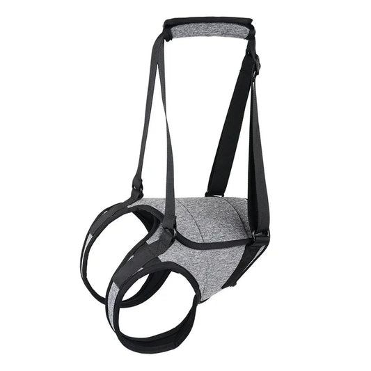 meilleur harnais pour chien - réeducation - Mon chien confortable