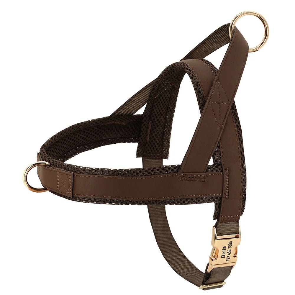 meilleur harnais pour chien - SFP - Nylon - Mon chien confortable