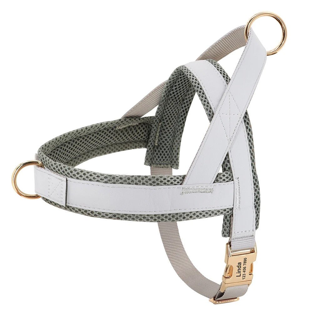 meilleur harnais pour chien - SFP - Nylon - Mon chien confortable
