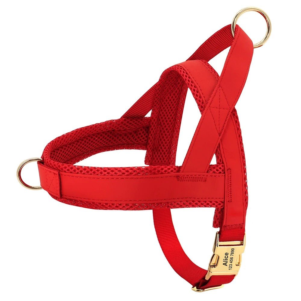 meilleur harnais pour chien - SFP - Nylon - Mon chien confortable