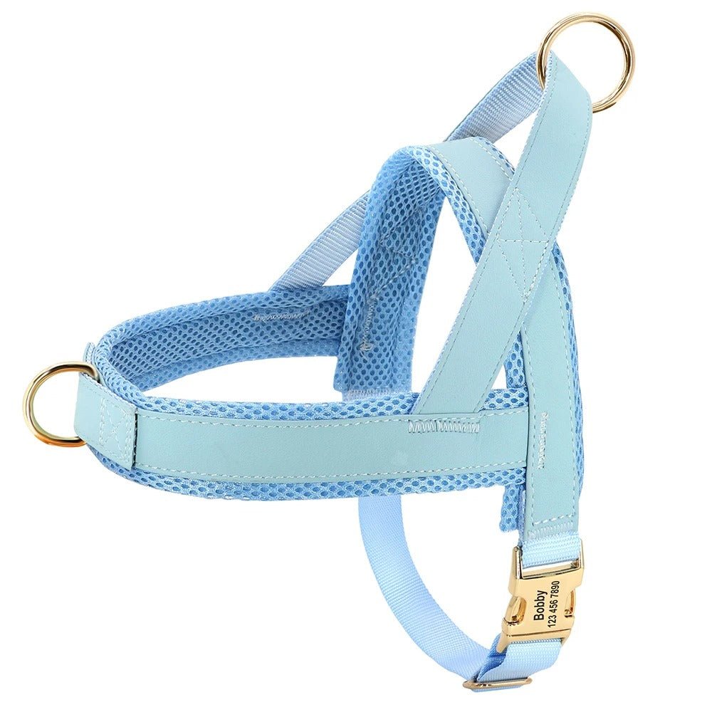meilleur harnais pour chien - SFP - Nylon - Mon chien confortable