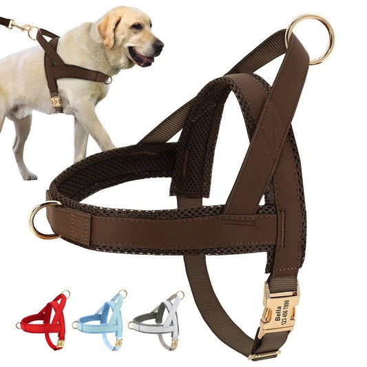 meilleur harnais pour chien - SFP - Nylon - Mon chien confortable