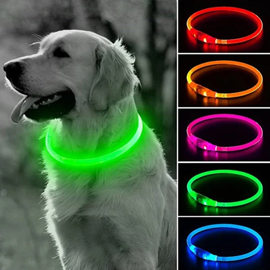 personnalisation collier chien - Mon chien confortable