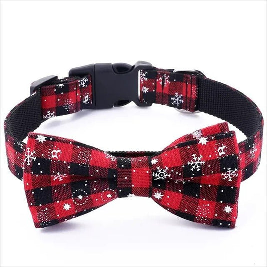 personnalisation collier chien - GR - Mon chien confortable