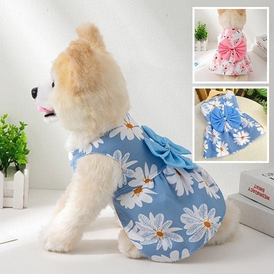 vetement chien - Mon chien confortable