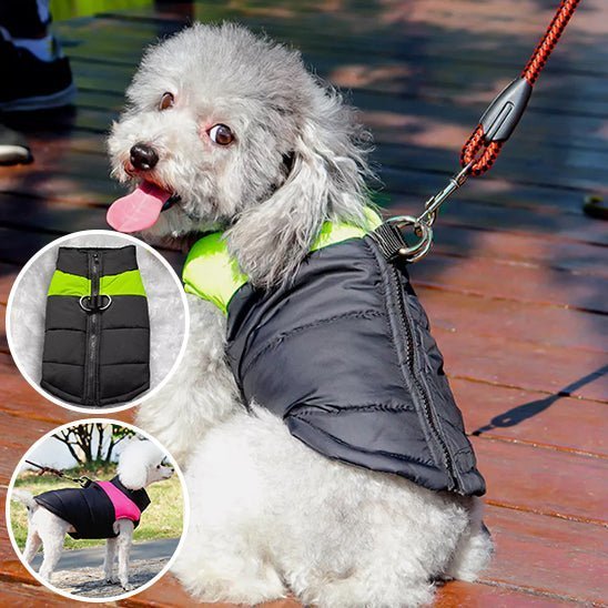 vetement pour chien - Mon chien confortable