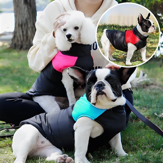 vetement pour chien - Mon chien confortable
