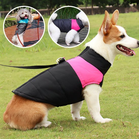 vetement pour chien - Mon chien confortable