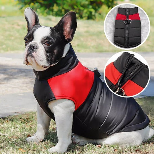 vetement pour chien - Mon chien confortable