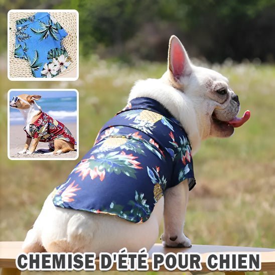 vetements pour chien - Mon chien confortable
