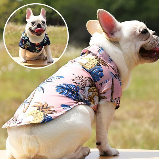 vetements pour chien - Mon chien confortable