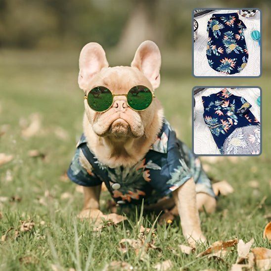 vetements pour chien - Mon chien confortable