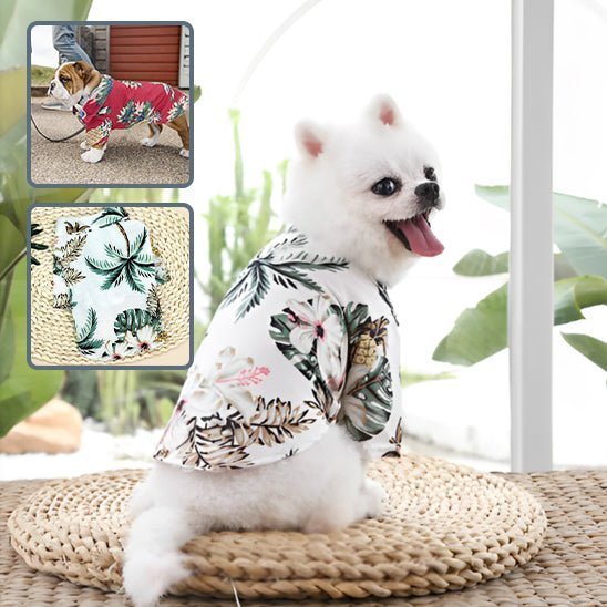 vetements pour chien - Mon chien confortable